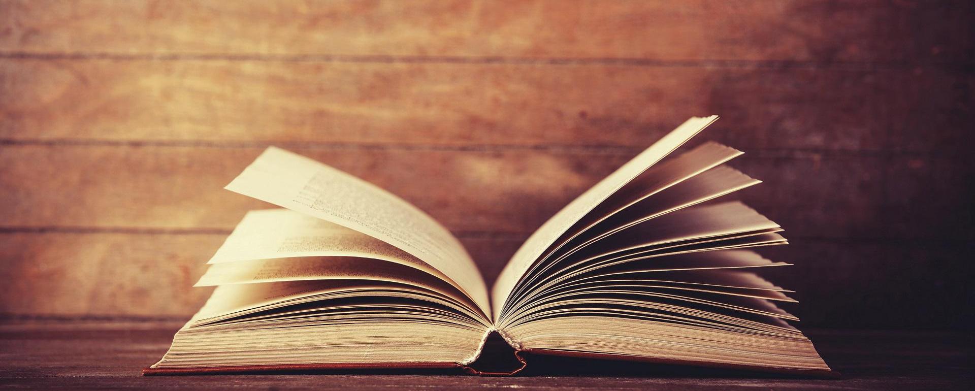 The Stone Cutter. Book Review