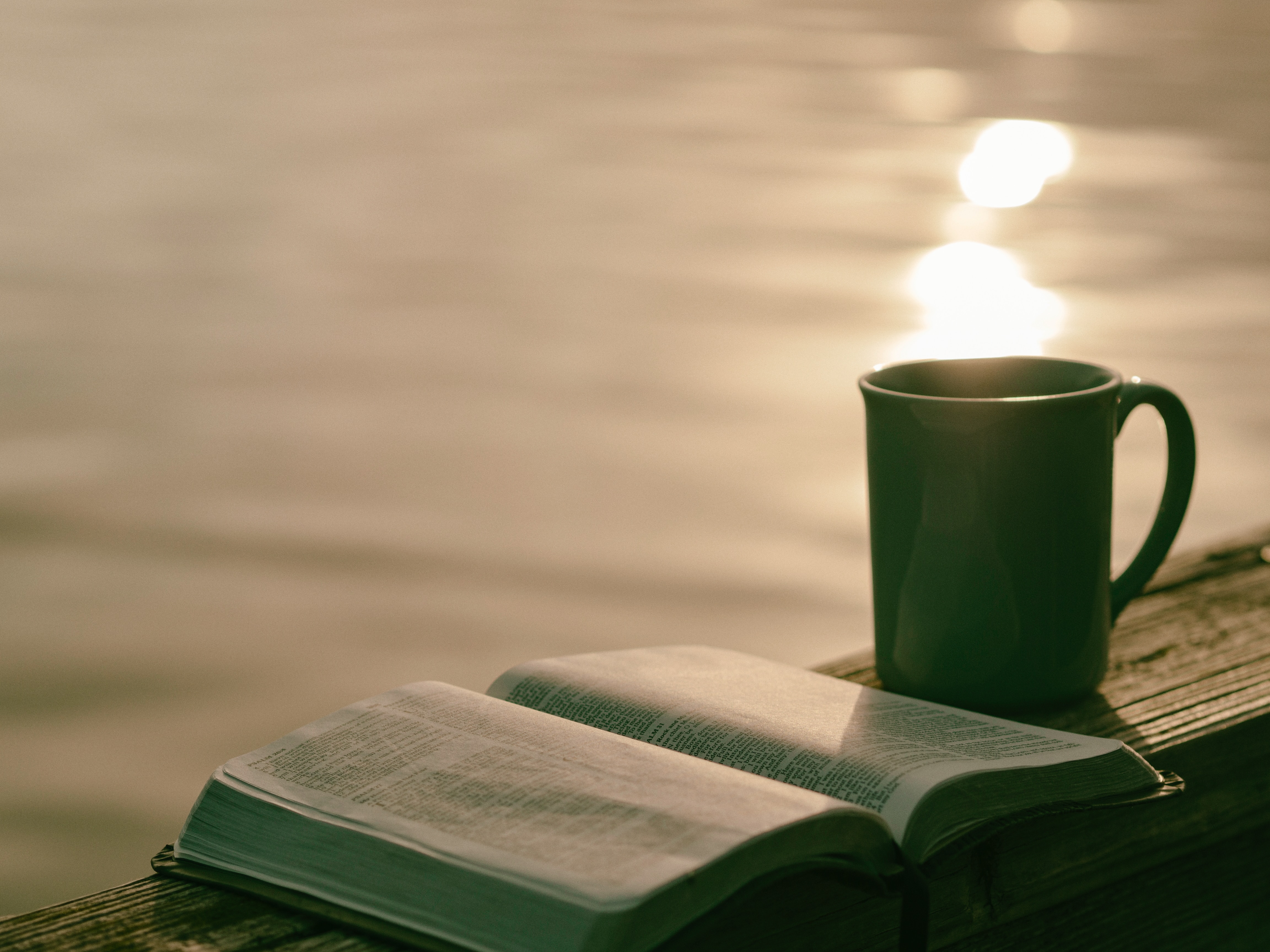 7 redes sociales para amantes de la lectura
